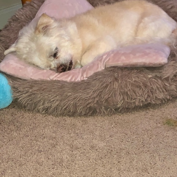 🌟❤️JEFFERSON❤️🌟 - Picture 9 of 13